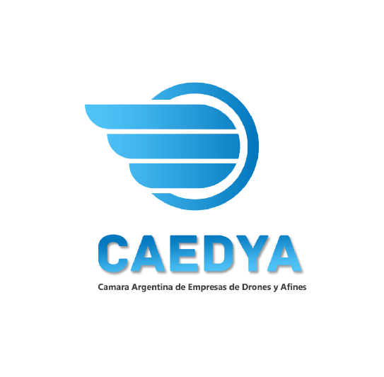 Logo Caedya