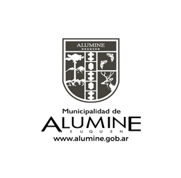 Alumine